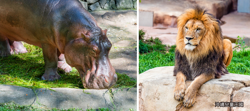 琉球御膳+舞誦表演
